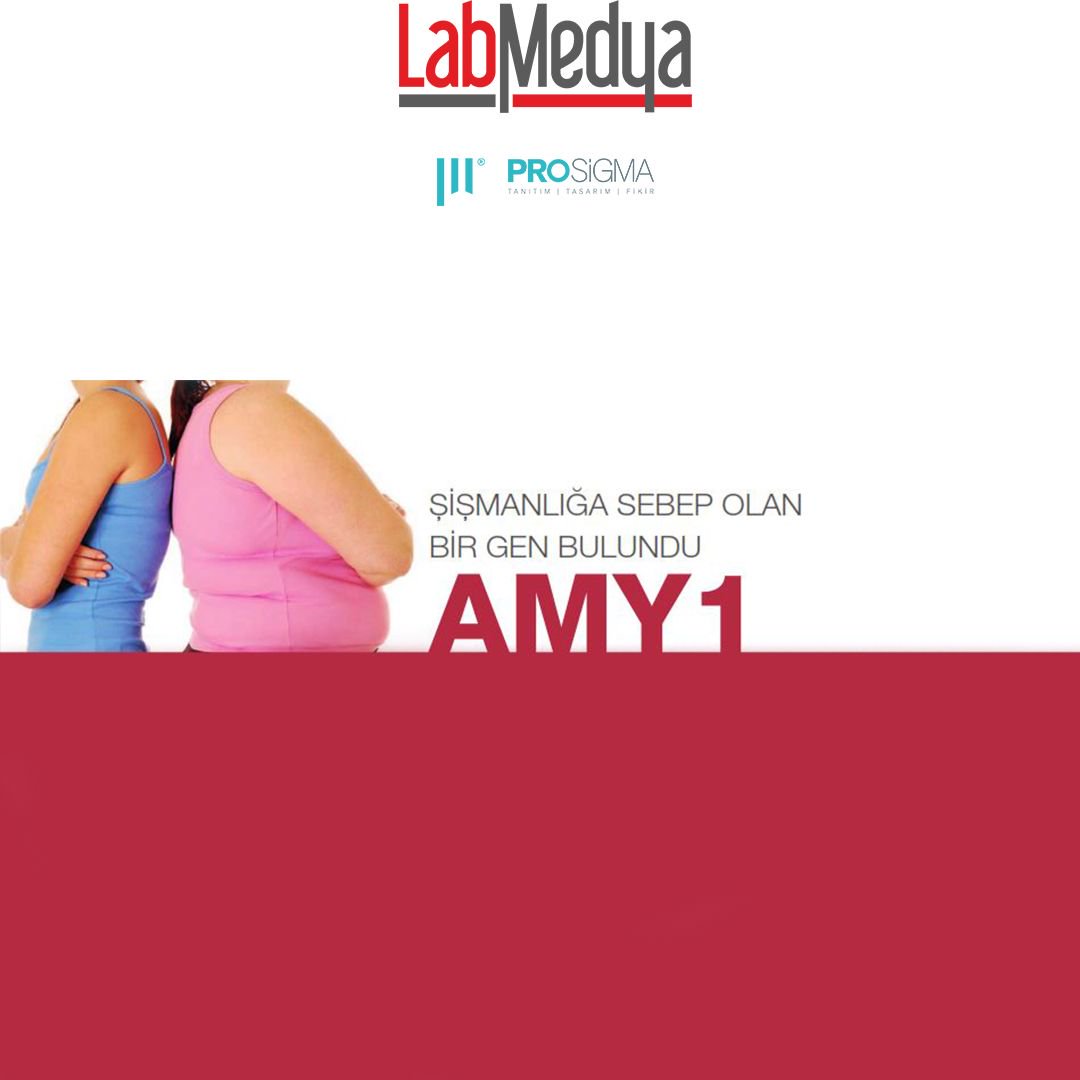 labmedya's tweet photo. Şişmanlığa Sebep Olan Bir #Gen Bulundu AMY1... - #LabMedya39 .sayısında...

#LabMedya
#AMY1
#Şişmanlık
#Obezite - (https://t.co/7QUD1GwprN) https://t.co/7j1QaYfqof