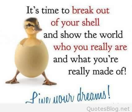 I want to break Free. Its Free
Make Money Online. #affiliatemarketing
#workfromhome
#makemoneyonline #Free Traing bit.ly/2nxwou1