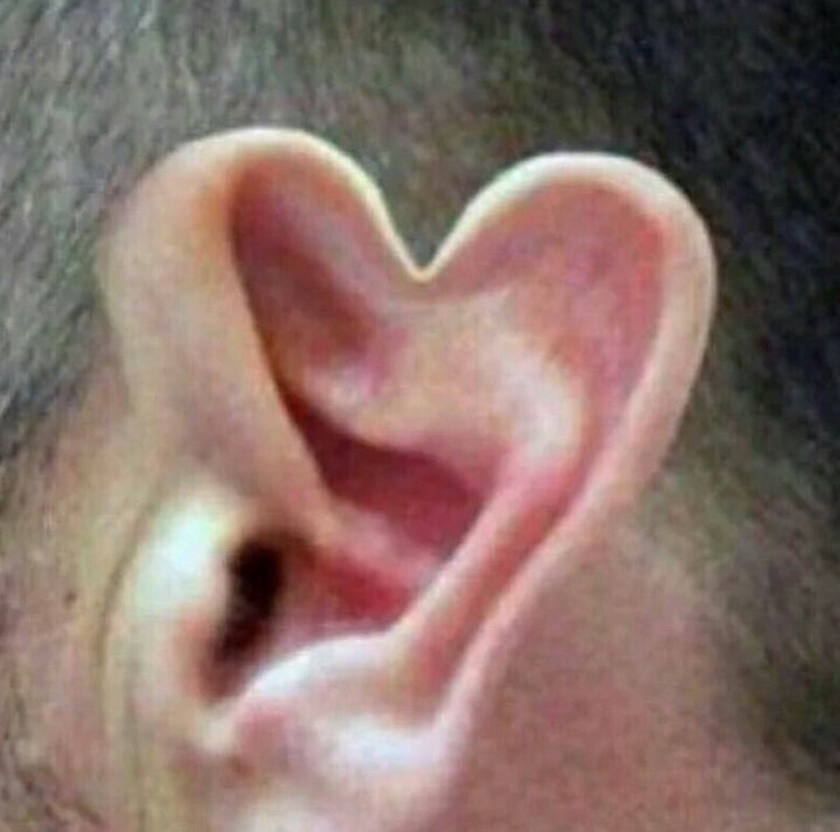 INDIEWASHERE's tweet photo. me listening to my friends talk about their interests and things they're passionate about https://t.co/yr5i6NZ6jr