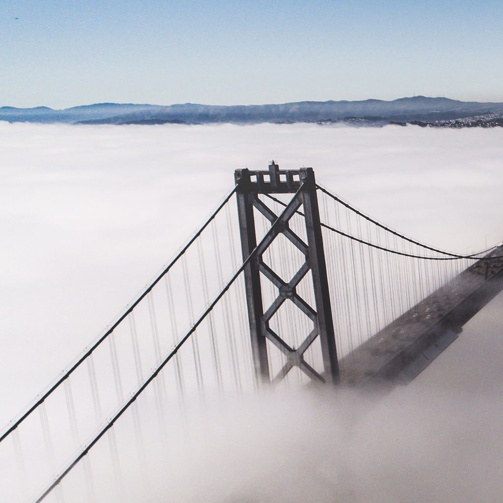 independentcbh's tweet photo. ◾️Fog City Vibes ▪️ ☁️🌁🏙☁️ https://t.co/lY9yRqhfKL https://t.co/ITR7c01P9c