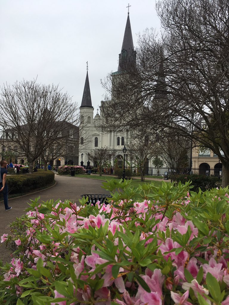 KathyRaven85's tweet photo. GA from New Orleans! #SpringBrk @akakatie1 @Mindlessrobot37 @LaurieMit @bizzymom8 @MsChief08 @EMS_A2 @lseever55 @zo2rey @Mannabouttown https://t.co/UTqFpouC7S