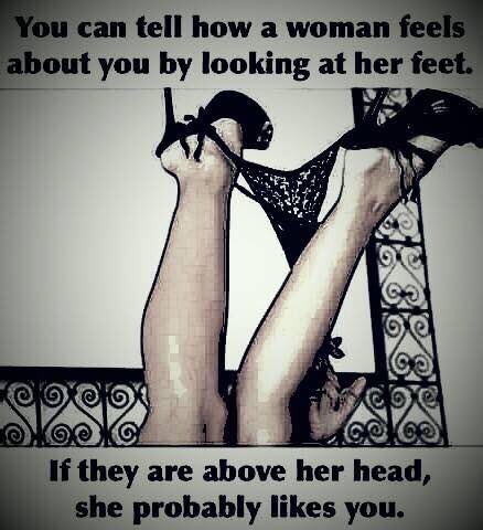 xxsoftkitty's tweet image. 😹