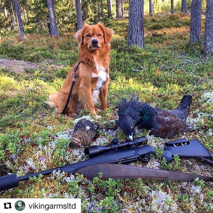 BritishShooting tweet picture