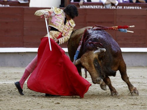 EsenciaToreo's tweet photo. Yo he escuchado muchas veces que el torero salva al hombre; anda el hombre perdido por la vida, pero que el toreo le reorienta. Curro Díaz. https://t.co/UqqOgc9qd8