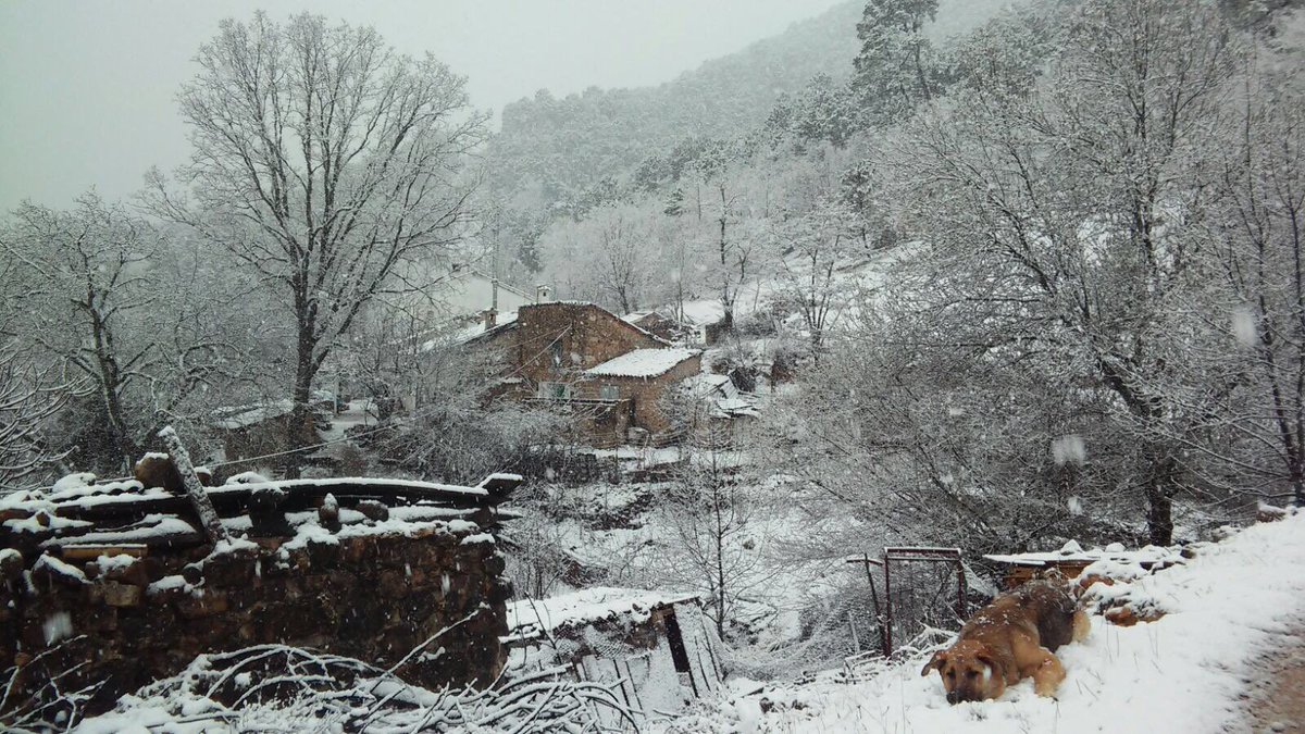 HoraJaen's tweet photo. TIEMPO | Una espectacular nevada cubre de blanco el parque natural de Cazorla, Segura y Las Villas https://t.co/gFliK7PGeJ https://t.co/Y1SwQOtNgd