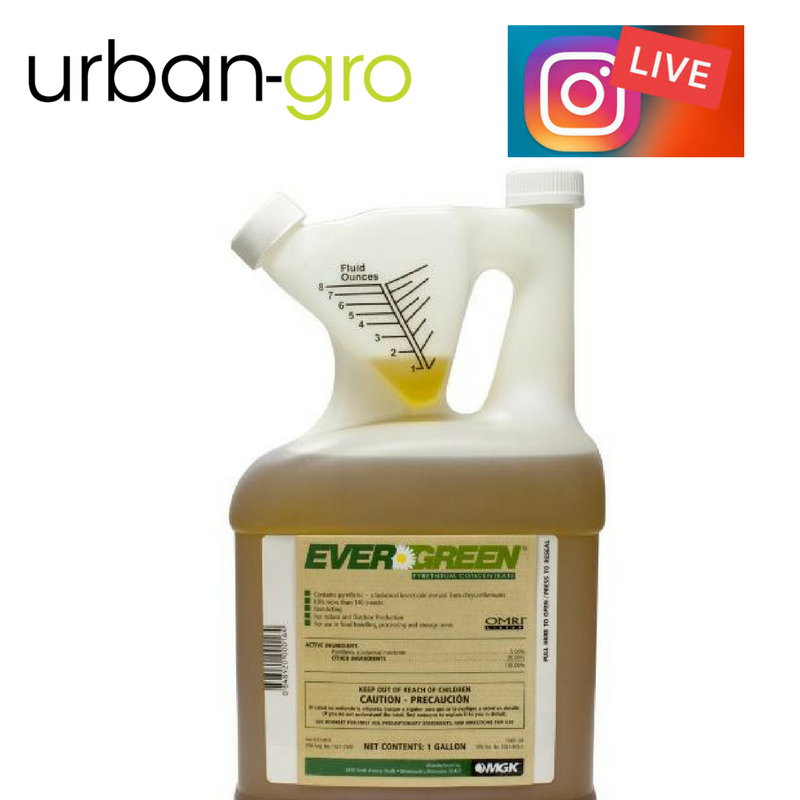 urban_gro's tweet photo. Join @urban_gro today on #InstragramLive @urbangro_cannabis for Q&A on #Evergreen with Lydia Abernethy at 3:15pm MT #cannabis #pyrethrin #MJ https://t.co/368rnzLOoF