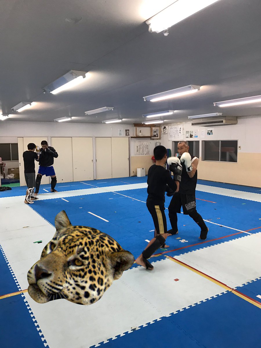 8kick_info's tweet photo. おはようございます！
今日も19:45〜練習です！
興味ある方は是非お立ち寄りください！ https://t.co/P91uUtIsU3