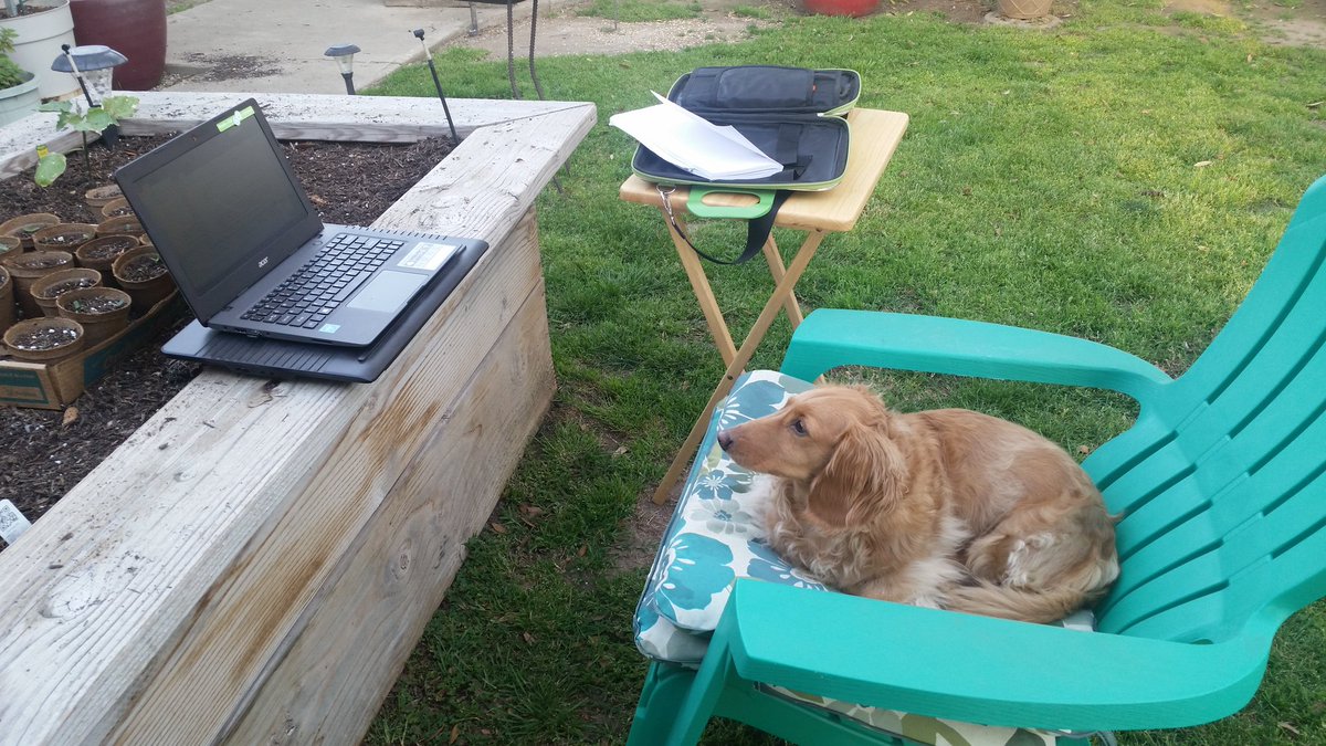 BethBridges's tweet image. This is my office tonight. #springinCalifornia. Makes me feel bad for my friends back east right now.