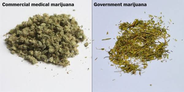 EmceePure's tweet photo. Normal Medical #Marijuana vs.
Government #Weed 😨😷
📸 by... https://t.co/W2co2tVS3h by #WarnTheWorld via @c0nvey https://t.co/PKuDY0iORI