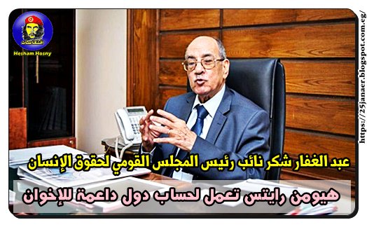 عبد الغفار شكر نائب رئيس المجلس القومي لحقوق الإنسان هيومن رايتس تعمل لحساب دول داعمة للإخوان