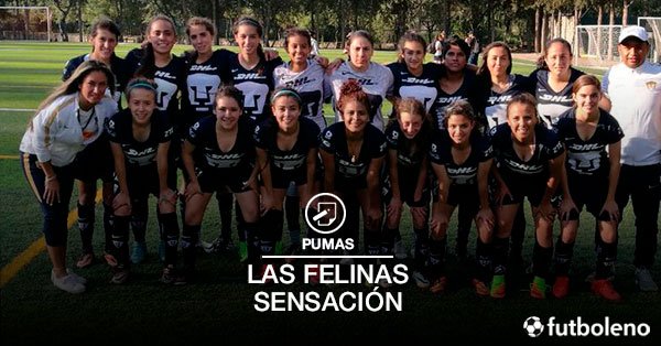 eldesconocido's tweet photo. Pues las chicas de #Pumas #UNAM ya levantan sensación entre los aficionados, por @futboleno https://t.co/1XE69e1JiC https://t.co/7P2vCf4CXr