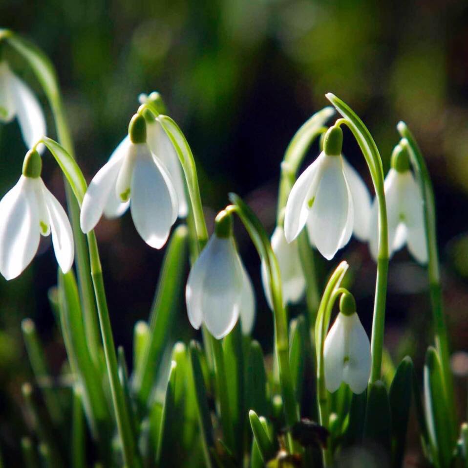 ScotThread's tweet photo. Never forgotten, sleep well little angels 💫 https://t.co/FCbOcB9Sjc