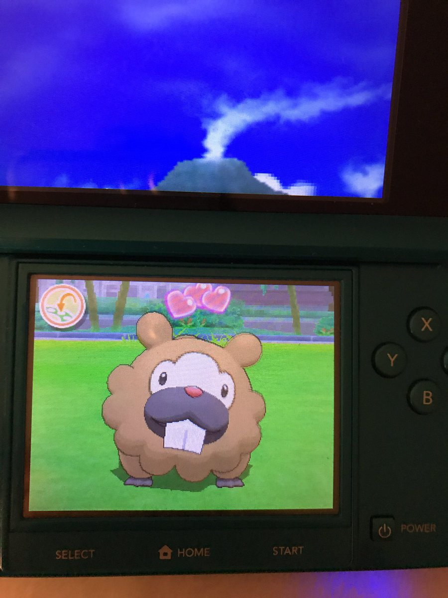 merybr99's tweet photo. Este genial bidoof al nivel 100 y un equipo estupendo me ha dado @mauriciomaster4 además de una enorme dosis de autoestima ✨✨✨ https://t.co/SzbEfnqbQd