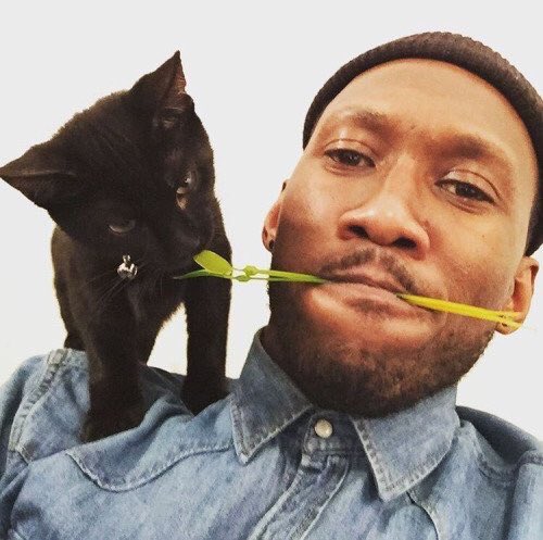 MTV's tweet photo. cute people with cute animals to help you get through this monday https://t.co/pZJeXFDd0B