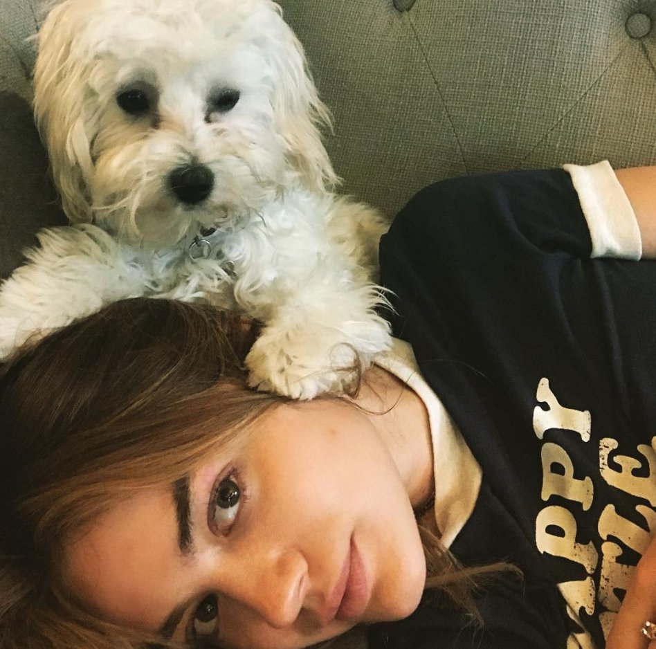 MTV's tweet photo. cute people with cute animals to help you get through this monday https://t.co/pZJeXFDd0B