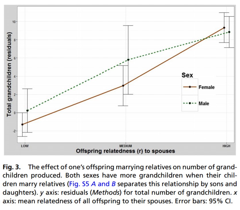 valued graphs and the representation theory of lie