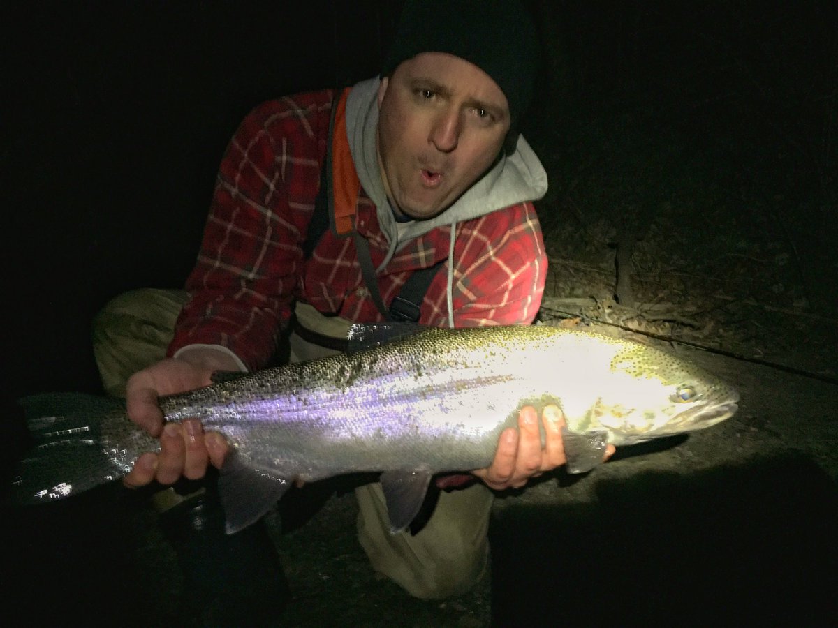 DoubleHauled tweet media