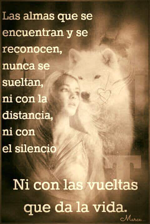 Resultado de imagen de Dos almas que se encuentra