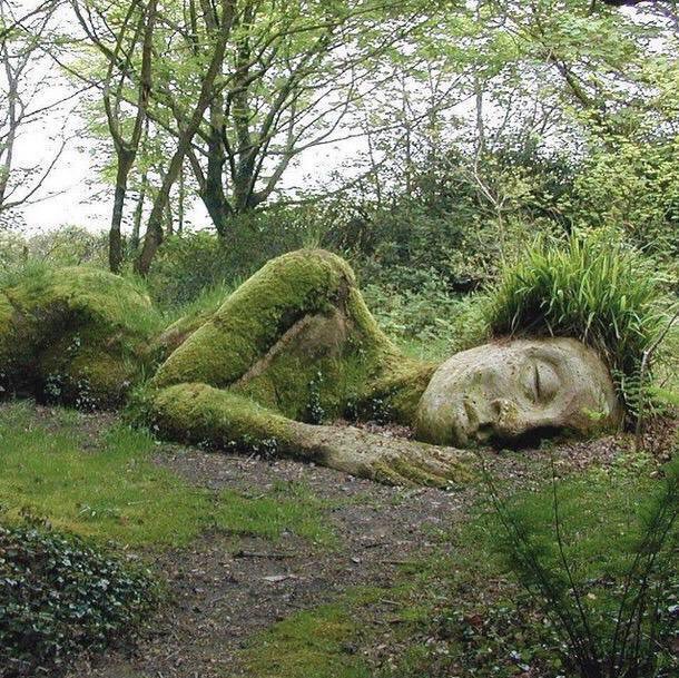 BillionMagazine's tweet photo. "What we plant in the soil of contemplation, we shall reap in the harvest of action."

Meister Eckhart https://t.co/HxxjalxtH9