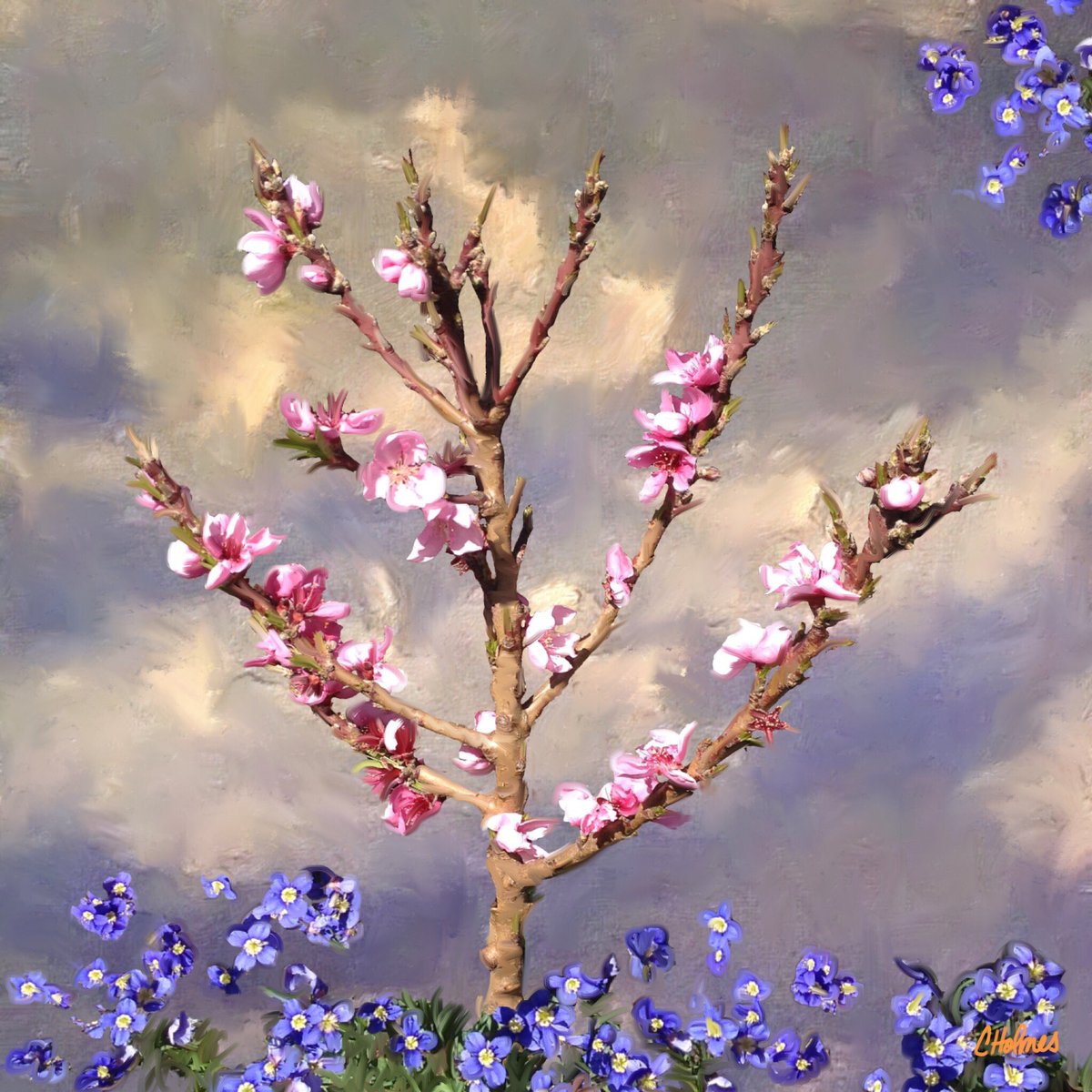 christinaart's tweet photo. #cherryblossom #spring #floralart #digitalart #inspireproapp #californiaartist #hopeofspring https://t.co/w6cvQcXslV https://t.co/ofx0o6mI5W