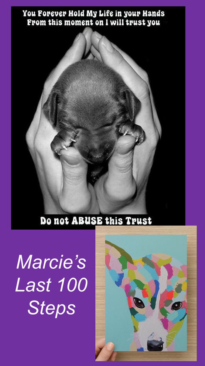 wallpetslost's tweet photo. "Marcie, bashed, burned and left to die, who was she and who did this to her?" 100 Steps Altona Meadows "Why?"   https://t.co/Iee9XpbuNz https://t.co/FSyyh4JxcJ
