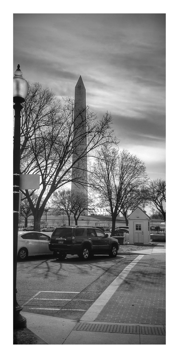 TheDavidRees's tweet photo. What happens when @googlephotos  autonomously crops and pimps a nothing-special pic? THIS. Just me, or #blackandwhite #magic? https://t.co/iNnzx2qR75