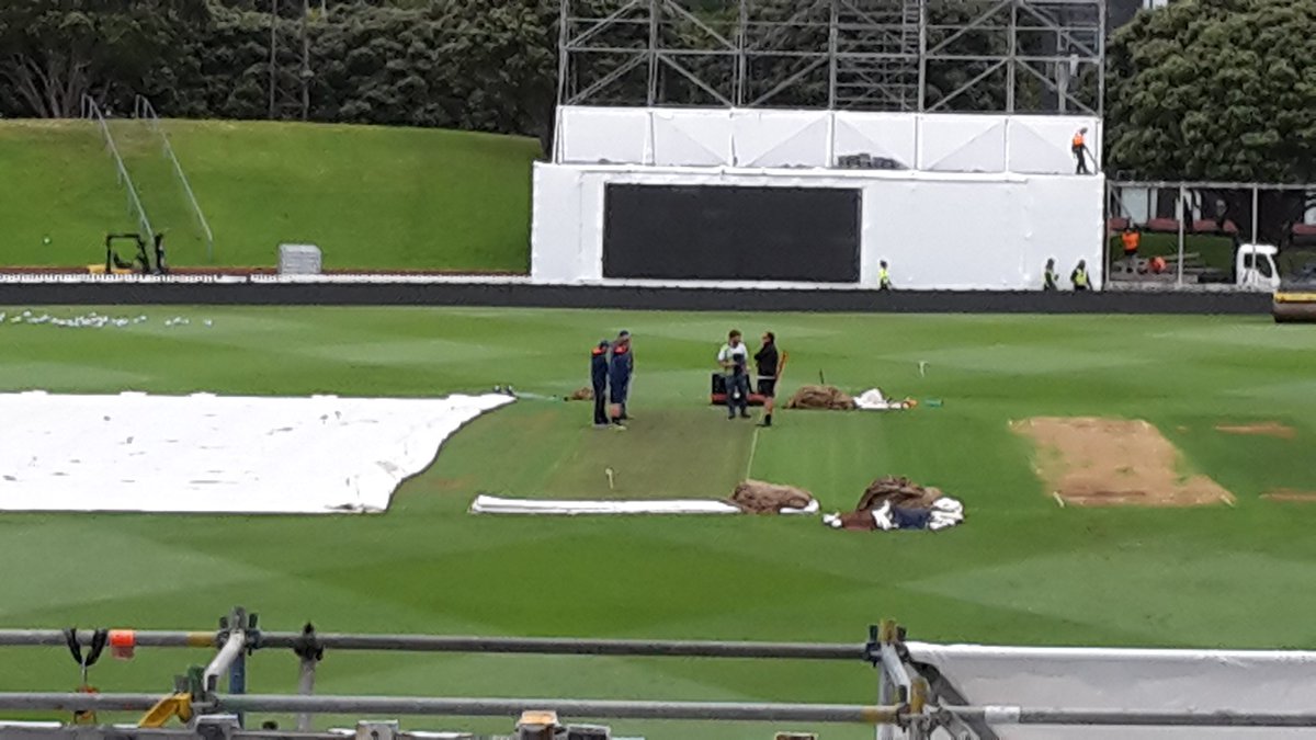 FirdoseM's tweet photo. Can you spot the pitch? #greenas #NZvSA https://t.co/cWHpqjUeDN
