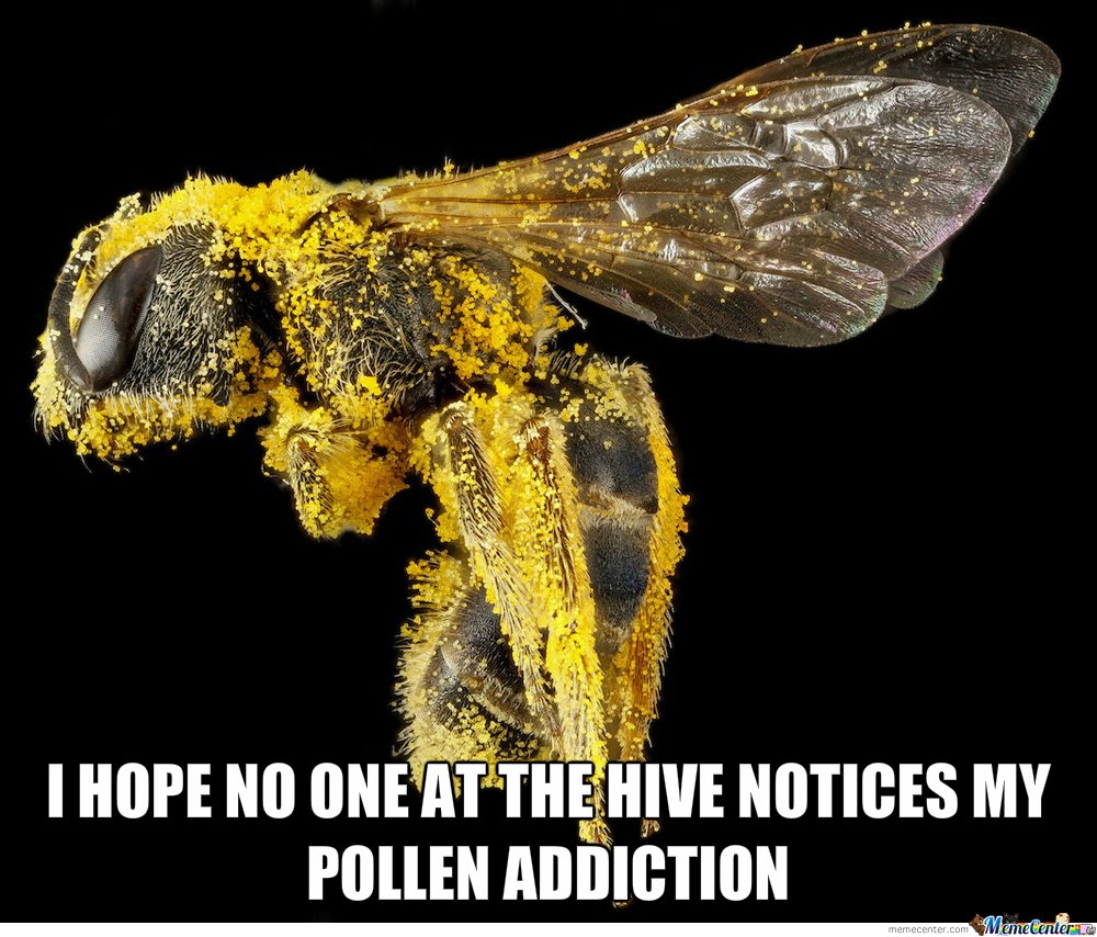We clean #Pollen off cars.
#Shreveport #WhatIsYourWashDay
snappyscrubscarwash.com