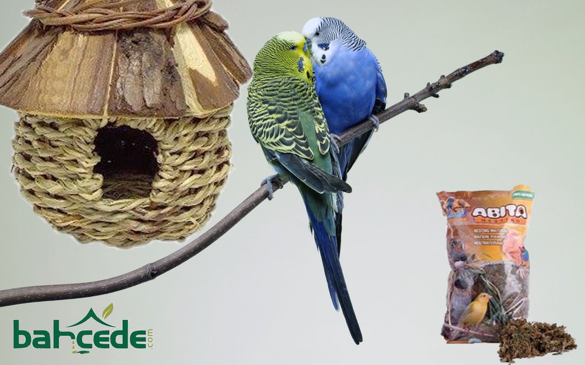 BahcedeCom's tweet photo. Farklı modellerde kuş yuvaları ve kuşlar için %100 doğal yuva kılı çeşitleri https://t.co/esyaeunRam 'da..🐦💗
#bahcedecom #kuş #yuva #bird https://t.co/WVVQaPLpiX