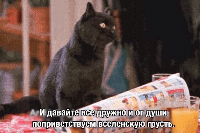 lifchikbirsacka's tweet photo. #twittwolf #TeenWolf #TVD
ДВ : закончен
Волчонок: скоро финал 
Я: https://t.co/fxdpSqu0md