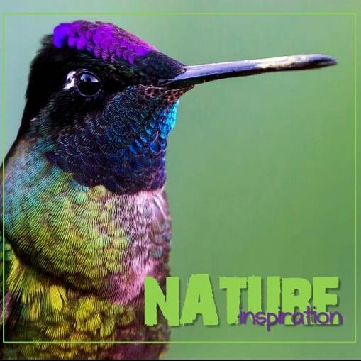 chikolatbeach's tweet photo. There are no more #beautifulcolors more #perfectforms than those of #Nature #Chikolat #comingsoon #newcollection https://t.co/lcYOVtiMZN
