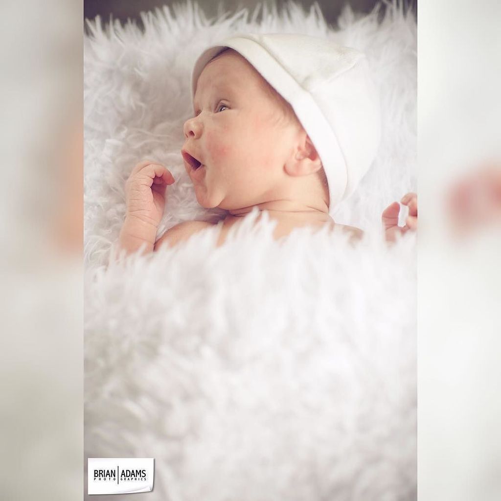 brianadamsphoto's tweet photo. Snug as a bug in a rug. 😌#brianadamsphoto #brianadamsphotographics #photography #photograp… https://t.co/NU7mOrjaUn https://t.co/JvTwV84jQJ
