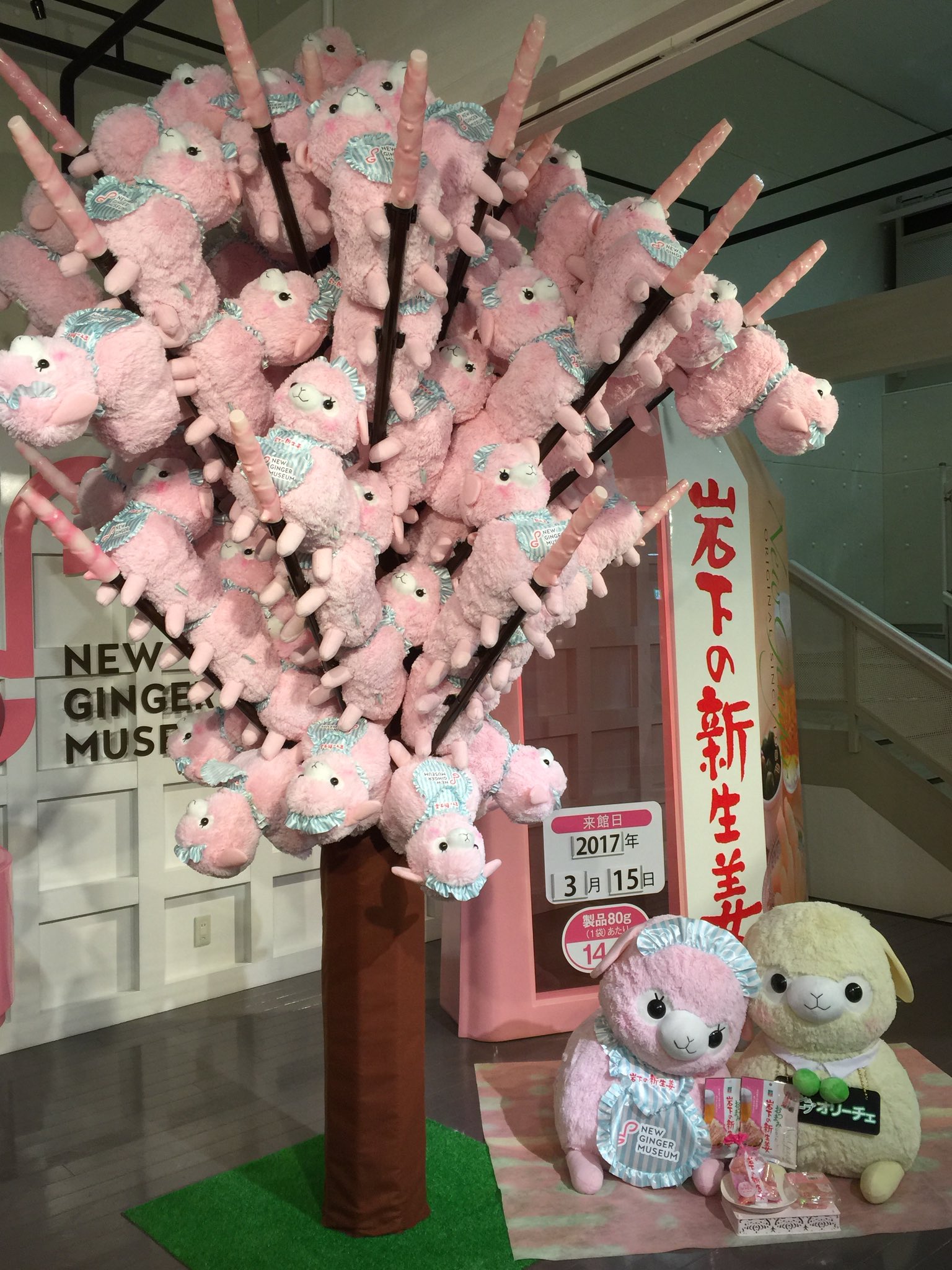 岩下 和了 新生姜アルパカ桜 見事なしだれ具合 写真では伝わりにくいですが 現物 本当にかわいいです 3 15から岩下の新生姜ミュージアムに 子供たちの かわいい という声が響き渡ること間違いなしです 笑っ 岩下 和了 新生姜アルパカ桜 見事なしだれ具合 写真では伝わりにくいですが 現物 本当にかわいいです 3 15から岩下の新生姜ミュージアムに 子供たちの かわいい という声が響き渡ること間違いなしです 笑っ