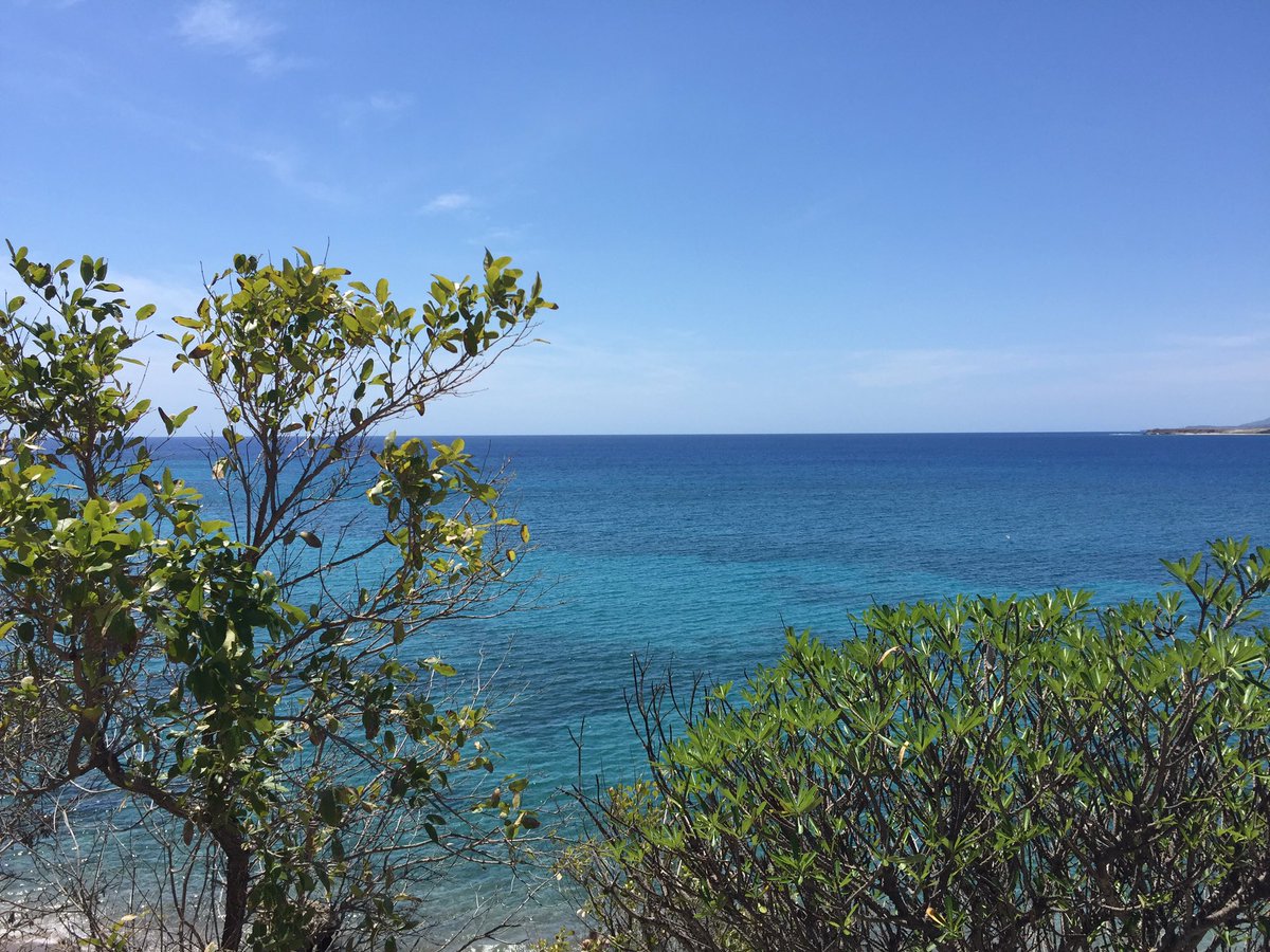 Been on island for a couple of days now. Fun exploring a new place. Some pretty great views! And giant iguanas!