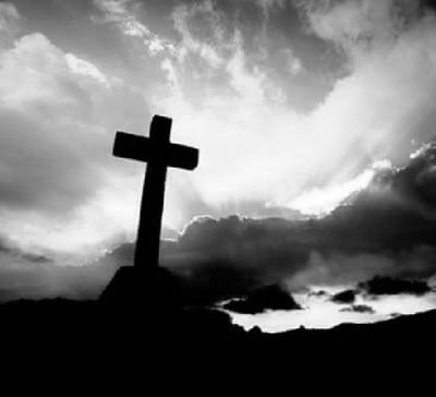 항상 성종♡ tweet media