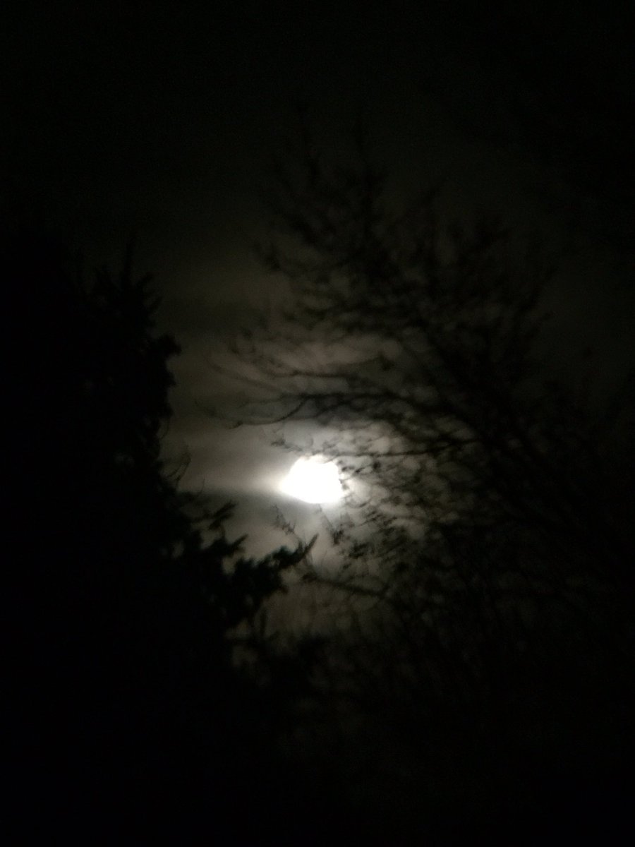 JoJo War Drummer tweet media