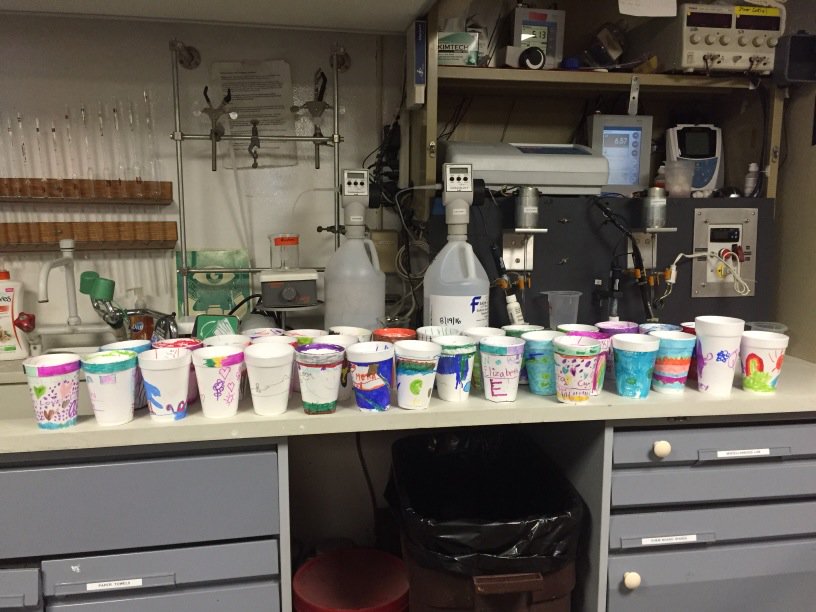 bhinchey's tweet photo. Incredible shrinking cups from CK 1st grades loaded onboard @LakeGuardian today! @jhynes38 @ILINSeaGrant https://t.co/CKmSkXCdQX