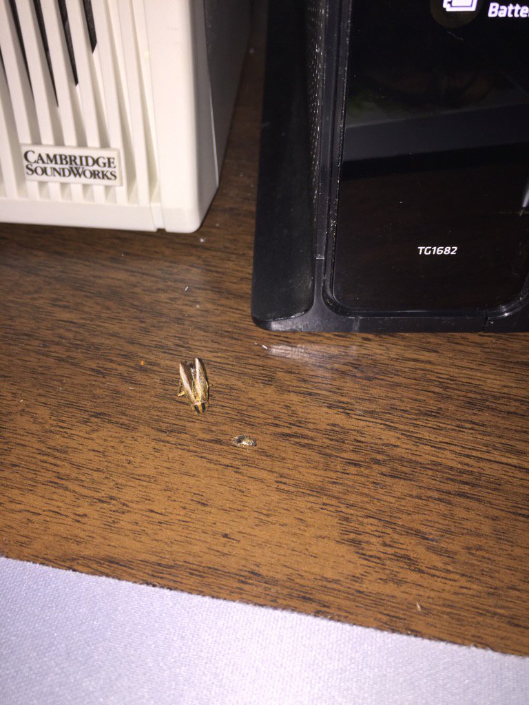 Doug Cornell tweet media