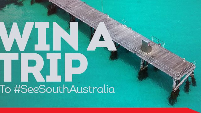 Watch South Australia's leaked NSFW photo on TwXstars