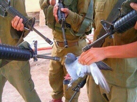 AzurePanzu's tweet image. 