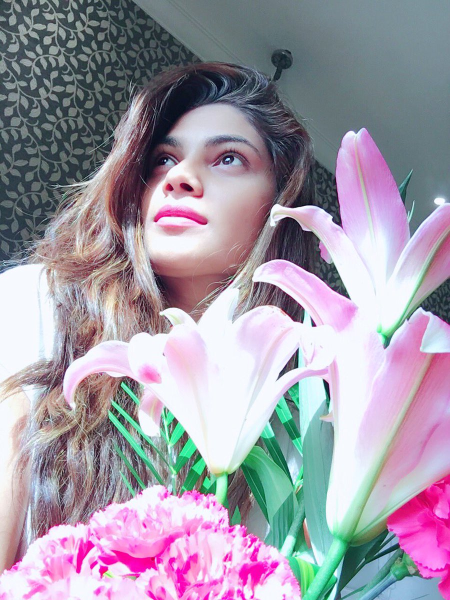 iLopamudraRaut's tweet photo. Good morning Jaipur !! https://t.co/pgDUZ4oGCd