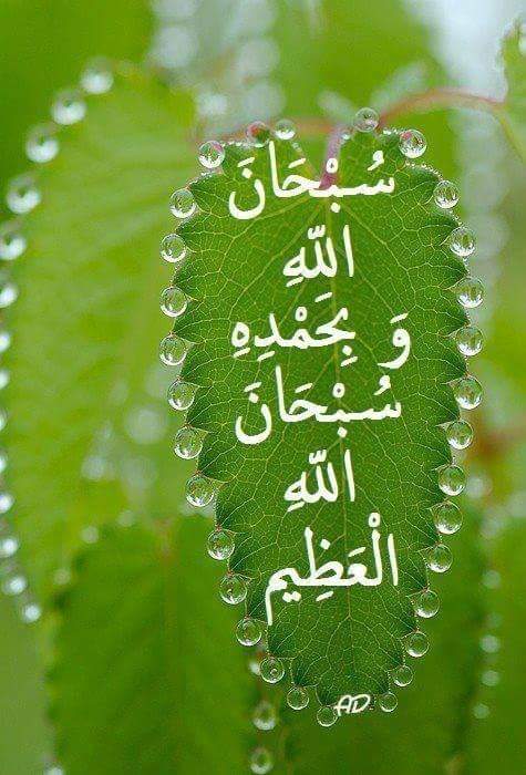 ilove_Allaah's tweet photo. #MashaAllah #SubhanAllah
https://t.co/rVKvM9onws