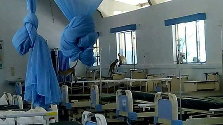 EddyNzomo's tweet photo. #100Days100%CBA2013 Govt should wake up from slumber land and explain to kenyans why 100 days and no doctors in hospital https://t.co/gSUv1RakLa