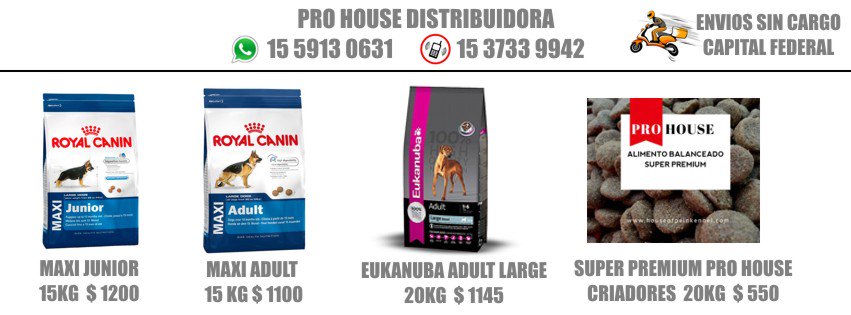 pets_celebrity's tweet image. Los mejores Precios en Alimentos para Perros ! 

facebook.com/prohousedistri…

#BuenMartes #Perros #Mascotas #BuenosAires