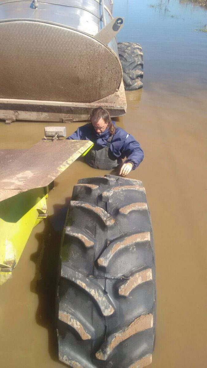 marcosarriazu's tweet photo. "Y cuánto me vas a pagar el litro de leche?" #bunge #Inundaciones https://t.co/nAEGB6N07D