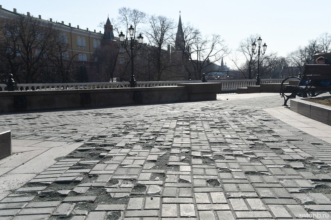 (image)