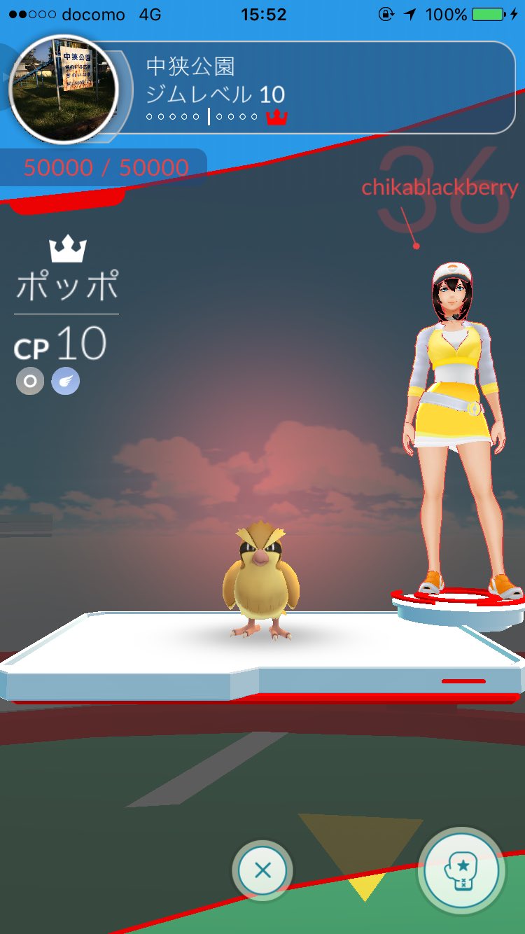 ちか ポケモンgo Tl36赤チーム Chika Blissey Twitter