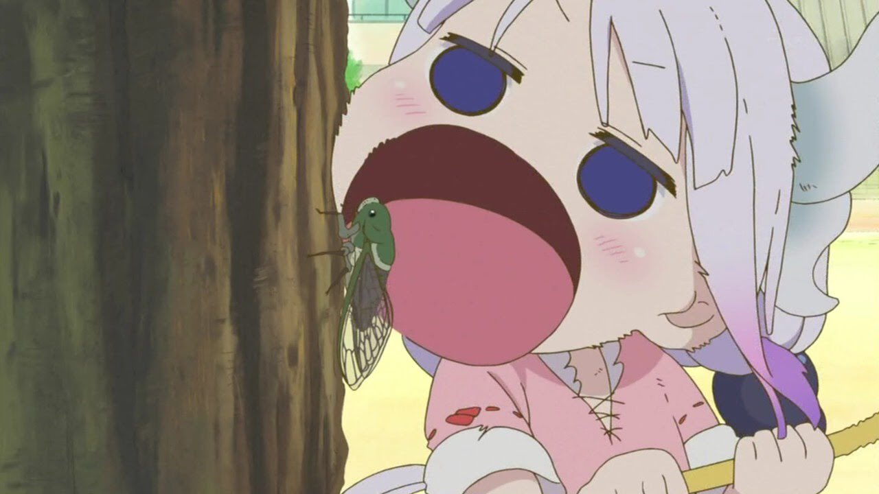 Roko ゆっくり実況者 小林さんちのメイドラゴンカンナちゃんお食事シーン 小林さんちのメイドラゴン お食事シーン T Co 5vrogqcbxu Twitter