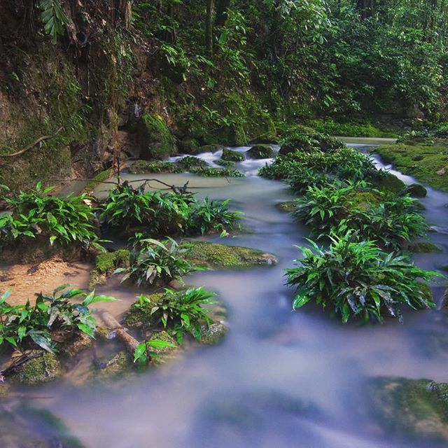 amazonwatch's tweet photo. #ExploreTheAmazon on instagram, full of stunning photos of the Amazon &amp; the indigenous peoples who protect it: https://t.co/NMglnzeSiF https://t.co/lhNWcR2zFc