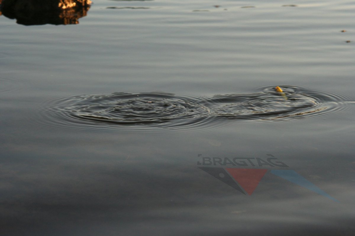 IT Jobs Gold Coast (ITJobsGoldCoast) Twitter